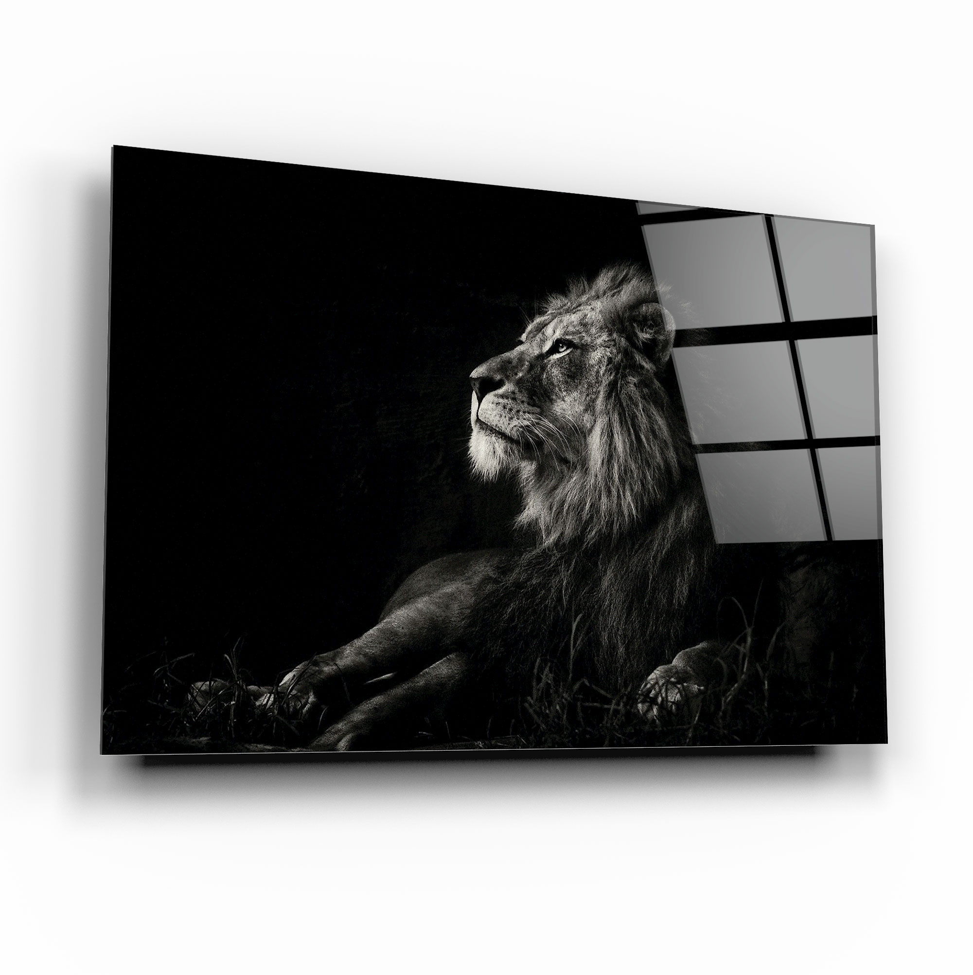 Aslan Cam Tablo